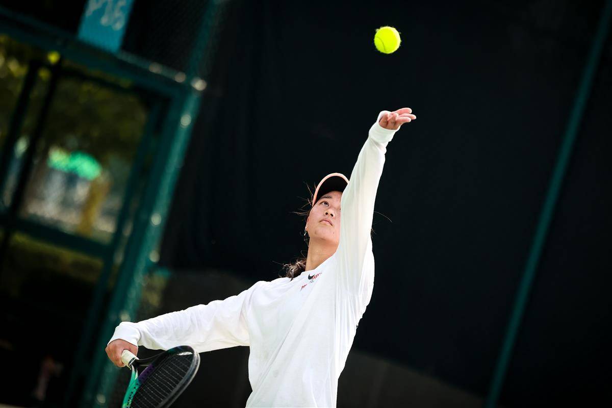 展示了他们 展示了他们