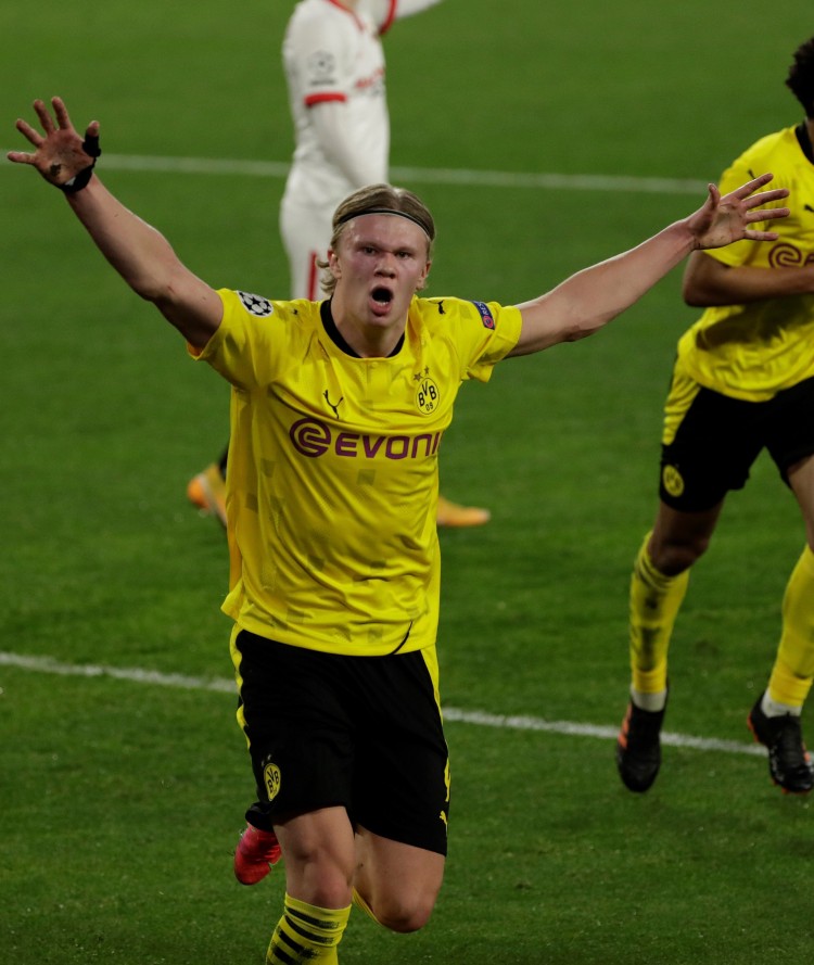 验与活力的 验与活力的