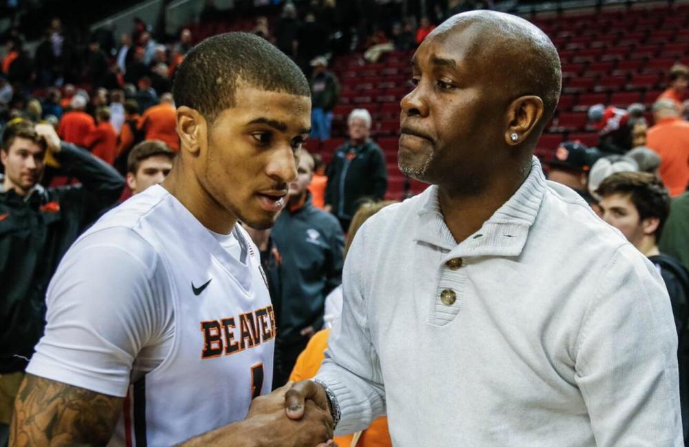 视二次转会 视二次转会