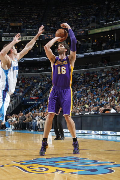 狮和深圳青 狮和深圳青