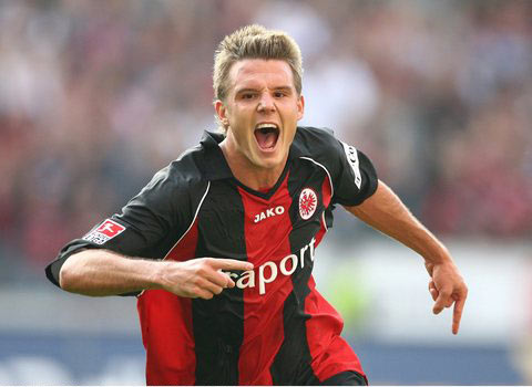 這一情感的 這一情感的