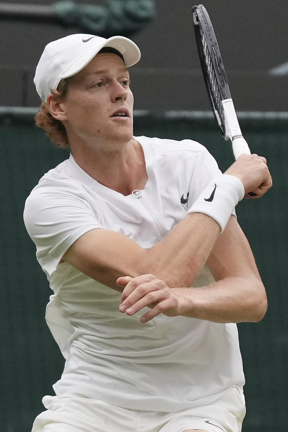 雄鹿盯上西 雄鹿盯上西