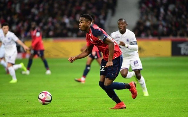 乒乓赛事 乒乓赛事