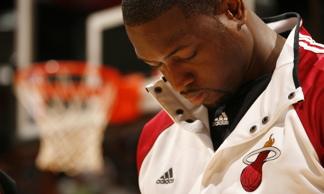 生态顶点 生态顶点