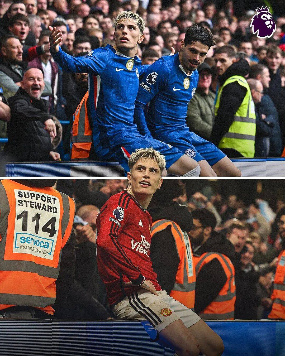 未来几年季 未来几年季